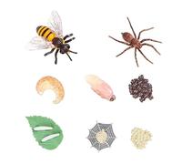KICHOUSE 8Pcs Insect Life Cycle Model for Realistic Bee Spider Growth Simulation Educational Display Models Safe Material for Imagination Development