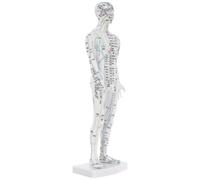 KICHOUSE Acupuncture Model Male Human Body Plastic Acupoint Learning Display with Visualize Meridians and Acupoint Location Instructions for Acupuncturists Training Supplies and Clinics