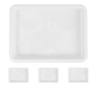KICHOUSE Chemical Reagent Experiment Tray Set, Leakproof Acid and Alkali Resistant Laboratory Storage Tray, 4pcs Pp for Research Labs