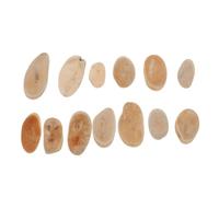 KICHOUSE Drift Wood Vase Filler Drift Wood Slices Wooden Vivid Shaped Design Natural Smooth Surface Centerpiece Decoration Home Decor