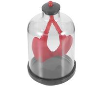 KICHOUSE Lung Function Demonstration Model Plastic Rubber Construction with Two Lung-like Sacs and Rubber Diaphragm Hands-on Learning Teaching Aid for School Science Education