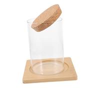 KICHOUSE Planting Bottle Glass Micro Landscape Terrarium for Hydroponic Plants Decorative Planter Jar for Unique Display for Succulents and Flowers Glass Design