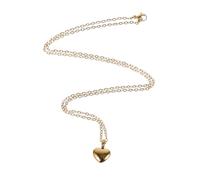 Kichvoe Heart-shaped Stainless Steel Pet Ashes Necklace with Openable Urn Pendant and Perfume Bottle Locket, Versatile Use and Resistant to Fading Memorial Jewelry for Pet Owners