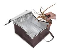 Kichvoe Insulated Food Bag Non-Woven Fabrics Aluminum Reusable Compact Thermal Tote for Pizza and Takeaway