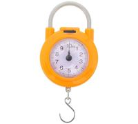 Kichvoe Mini Spring Scale High Precision Lightweight Plastic and Metal Hanging Scale with Hook 10kg Capacity for Home Use and Weighing Different Objects