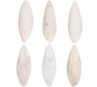 Kichvoe Natural Cuttlefish Bone and Healthy Beak Development 6 Pcs Source of Calcium Bird for Cockatiels and Birds for Chewing and Foraging