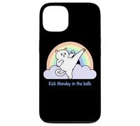 Kick Monday In The Balls Rainbow Cat Case for iPhone 13