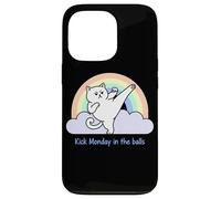 Kick Monday In The Balls Rainbow Cat Case for iPhone 13 Pro