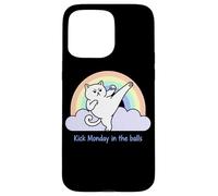 Kick Monday In The Balls Rainbow Cat Case for iPhone 15 Pro Max