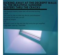Kicking Away At The Decrepit Walls Til The Beautiful Sunshine Blisters [VINYL]