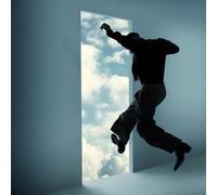 Kid Cudi - Free [VINYL]