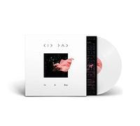 Kid Dad - In A Box [VINYL]