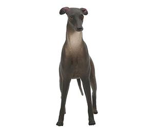 Kid Educational Toy Dog Model, Simulation Miniature Animal Decor for Home, Cognitive Development