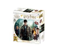 Harry Potter 3D Puzzle 500 Pieces