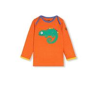 kIDio Organic Cotton Baby Infant Toddler Long Sleeve Top Applique - Girl Boy Blouse (0-4 Years) (3M (0-3 Months), Orange Lizard)