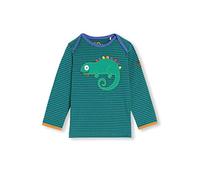 kIDio Organic Cotton Baby Infant Toddler Long Sleeve Top Applique - Girl Boy Blouse (0-4 Years) (6M (3-6 Months), Green Lizard)