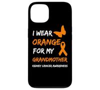 Kidney Cancer I Wear Orange For My Grandmother Ribbon Case for iPhone 13