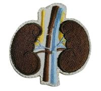 Kidneys Human Body Organs Art Clothing Badge Iron on Sew on Embroidered Patch appliqué