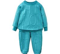 Kids 2 Pieces Spring Fall Clothes Letter Print Sweatshirt Long Sleeve Sweatshirt Athletic Sweatsuits Elastic Waist Pants Solid Casual Sweatsuits Clothing Sets Cute Round Neck Tops Outfits (Green, 160)