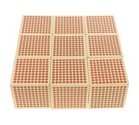 Kids Advance Material Mathematics Wooden Toys - 9 Thousand Cubes