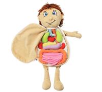 Kids Assembled Plush Body Organs Toy Human Body Anatomy Plush Doll Science Teaching Aids Tool Educa