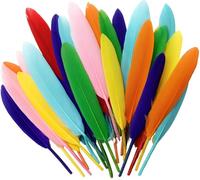 Kids B Crafty Craft Feathers for Crafting - 40 Long Coloured Feathers for Hats, Childrens Art and Collage Materials - Large 14cm Quills