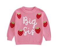 Kids Baby Girl Big Sis Letter Sweater Top Cute Strawberry Embroidery Knit Top Long Sleeves Round Neck Pullover Knitwear (Red, 2-3 Years)