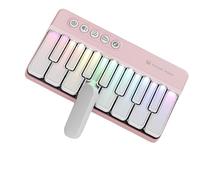 Kids Beginner Keyboard Musical Instrument ABS Texture Small Toy Piano For Early Childhood Education And Entertainment Music Inspiration Toy Piano