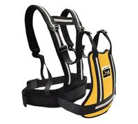 Kids Bike Safety Cabla Motorcycle Belt with Adjustable Buckle, Two Seater School Support | Made from Breathable Material, This Child Safety Belt Offers a Crew