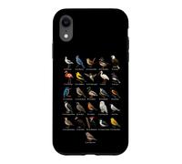Kids Bird Watching Alphabet A To Z Chart Case for iPhone XR