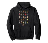 Kids Bird Watching Alphabet A To Z Chart Pullover Hoodie
