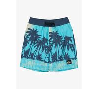 Kids Board shorts Quiksilver Everyday Printed Volley 13 Bleu 2 ans