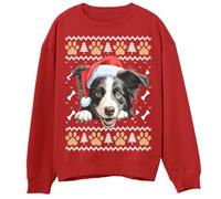 Kids Border Collie Christmas Sweater Cute Dog Design Ugly Xmas Pullover Holiday Sweatshirt Gift for Dog Lovers, 9-11 Years, Red