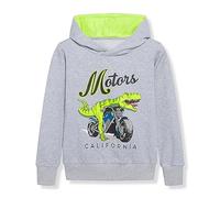 Kids Boy Hoodies Crewneck Hooded Sweatshirts Long Sleeve Dinosaur Pullover Top Boy Outfits 5 To12 Years Boys Long Sleeve Hoodie (Grey, 6-7 Years)