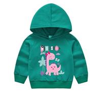 Kids Boys Dinosaur Hoodie Baby Girls Cute Bunny Cat Pattern Hoodies Long Sleeve Hooded Sweatshirt Cotton School Jumper Funny Animals Print Hoody Sports Pullover Top (Green-5, 3-4 Years)