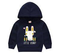 Kids Boys Dinosaur Hoodie Baby Girls Cute Bunny Cat Pattern Hoodies Long Sleeve Hooded Sweatshirt Cotton School Jumper Funny Animals Print Hoody Sports Pullover Top (Navy-1, 18-24 Months)