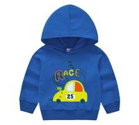 Kids Boys Dinosaur Hoodie Baby Girls Cute Bunny Cat Pattern Hoodies Long Sleeve Hooded Sweatshirt Cotton School Jumper Funny Animals Print Hoody Sports Pullover Top (Blue-2, 12-18 Months)