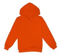 Kids Boys Girls Cotton Hoodie Fall Soft Plain Oversized Pullover Sweatshirts Long Sleeve Thick Lightweight School Casual Sport Tops Clothes Baby Hooded Coats with Pockets (G, 2-3 Years)