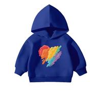 Kids Boys Sweatshirt Comfortable Hooded/Sweatshirt Long Sleeve Pullover with Pocket Sports Casual Wear Outdoor Activewear Uniform Ages 3-16 Years Blue