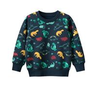 Kids Boys Sweatshirt Girls Children Top Long Sleeve Pullover Cute Tops Casual Jumper T Shirt Fall School Toddler Clothes Age 1-7 Years Dark Blue