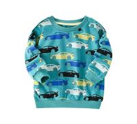 Kids Boys Sweatshirt Toddler Pullover Jumper Long Sleeve Graphic Tops Fleece New Casual Fashion Outdoor Activewear Uniform Ages 3-16 Years Light Blue