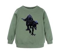 Kids Boys Sweatshirt Toddler Pullover Jumper Print Crewneck for Cotton Casual School Uniform Clothes Age 1-7 Years Green