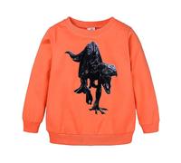 Kids Boys Sweatshirt Unisex Breathable, Lightweight Sweater Jumber Full Sleeve Regular Fit Activewear Outdoor Clothes Age 1-7 Years Orange