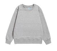 Kids Boys Sweatshirt Unisex Long Sleeve Graphic Tops Cute Casual Jumper T Shirt Fall School Uniform Size Age 5-13 Years Grey