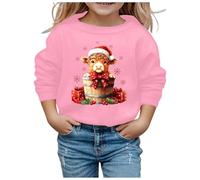 Kids Christmas Sweatshirt, Kids Christmas Jumpers Girls Cute Reindeer Pullover Toddler Xmas Jumper Long Sleeve Santa Top Winter Children Clothes