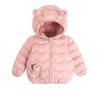 Kids Coats Winter Hooded Jacket Lightweight Down Jacket Hoody Windproof Fleece Jackets Padded Quilted Puffer Coat Long Sleeve Parka Outwear Warm Casual Packable Ski Overcoat 2-6 Years