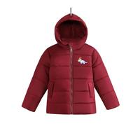 Kids' Coats Winter Hooded Jacket Padded Parka Jacket Unisex Warm Waterproof Jackets Snow Coat Windproof Puffer Coats Hoody Youths Showerproof School Outwear Snowboarding Age 2-5 Years