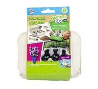 Kids Create ACT RECYCLED GYO EGGBOX GARDEN