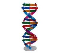 Kids DNA Double Spiral Model Science Educational Teaching Instrument Components