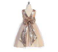 Kids Dreams Belle of the Ball Dress - Blush Shimmer - Plus size 20.5